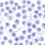 ほぼ日刊イトイ新聞 やさしいタオル2014AW